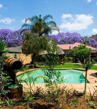 Auberge de jeunesse 1322 Backpackers International à Pretoria-Noord Extérieur photo