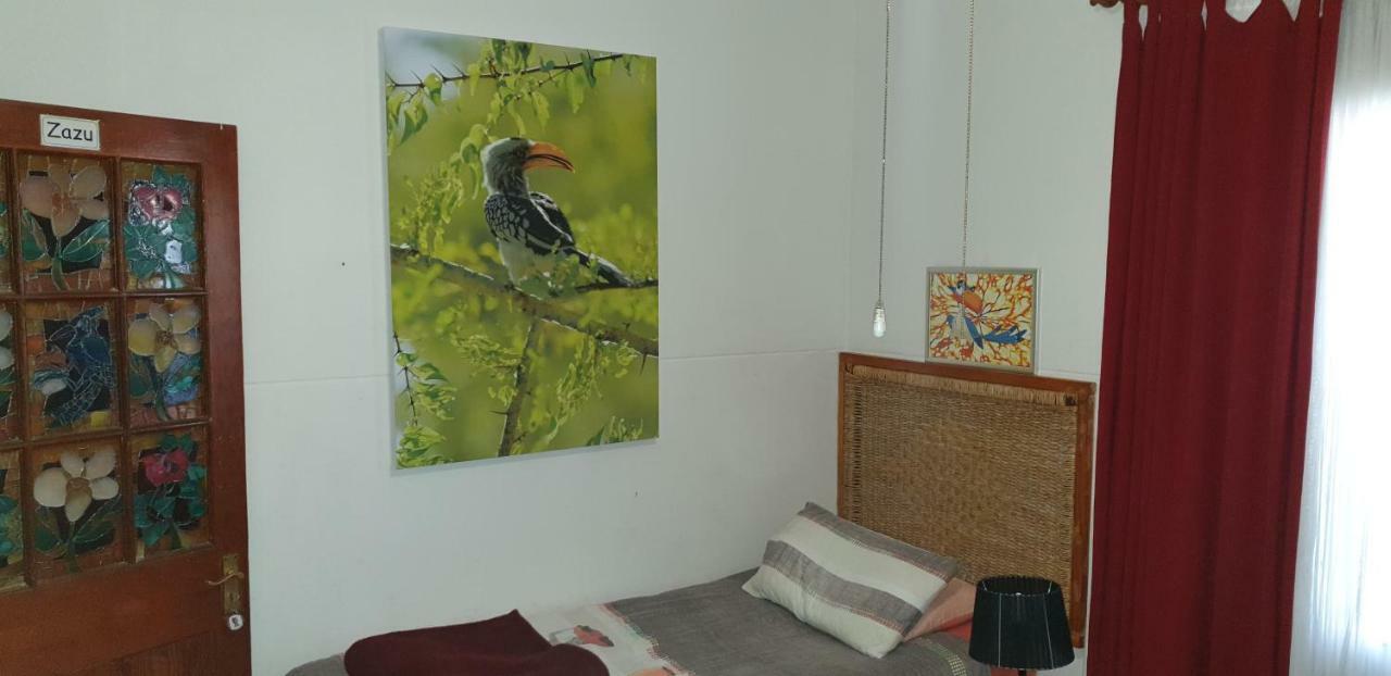 Auberge de jeunesse 1322 Backpackers International à Pretoria-Noord Extérieur photo